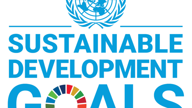 Sustainable development goals logo