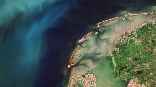 A satellite image of the Dutch tulip fields and phytoplankton in the North Sea