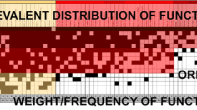 Figure 1. Schematic representation of an ordered Matrix of Functions