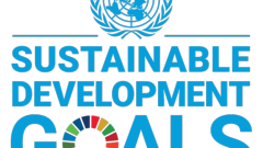 Sustainable development goals logo