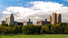 A park in a city