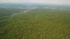 Amazon rainforest