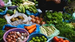 Fresh vegetables and herbs on a market