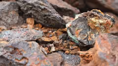 Minerals in a rock
