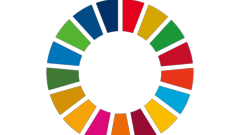 Sustainable Development Goals logo
