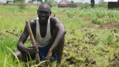 A farmer planting on his land in Ethiopia