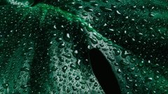 A close-up of water droplets on a leaf