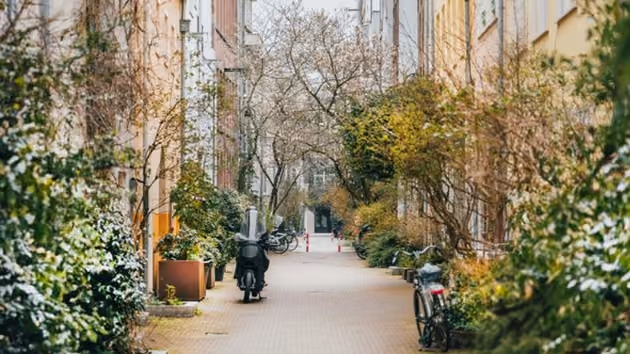 A street with greenery on both sides