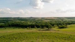 image of grasslands