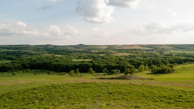 image of grasslands